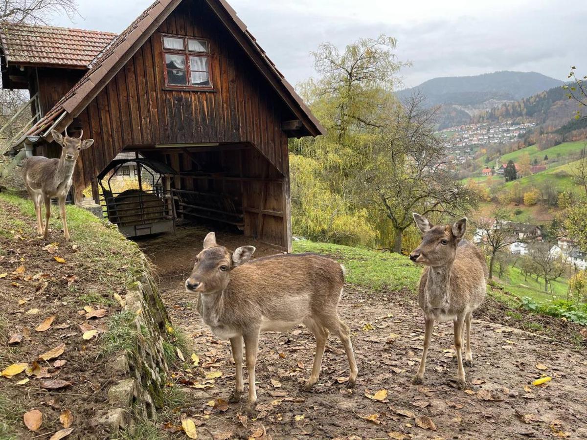 Einzigartiges Apartment, Mitten In Der Natur Ottenhofen im Schwarzwald Exterior foto